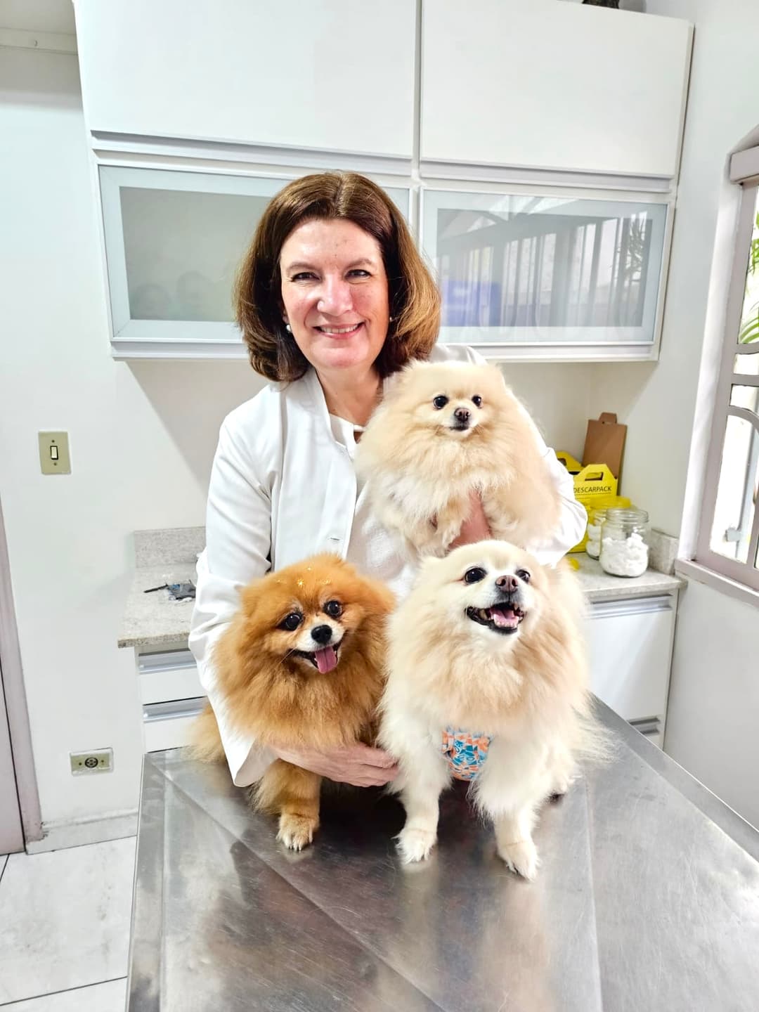 Imagem de Atendimento Personalizado para Cães e Gatos na Clínica Veterinária Jardim Esther, Butantã SP – cães, gatos e animais silvestres